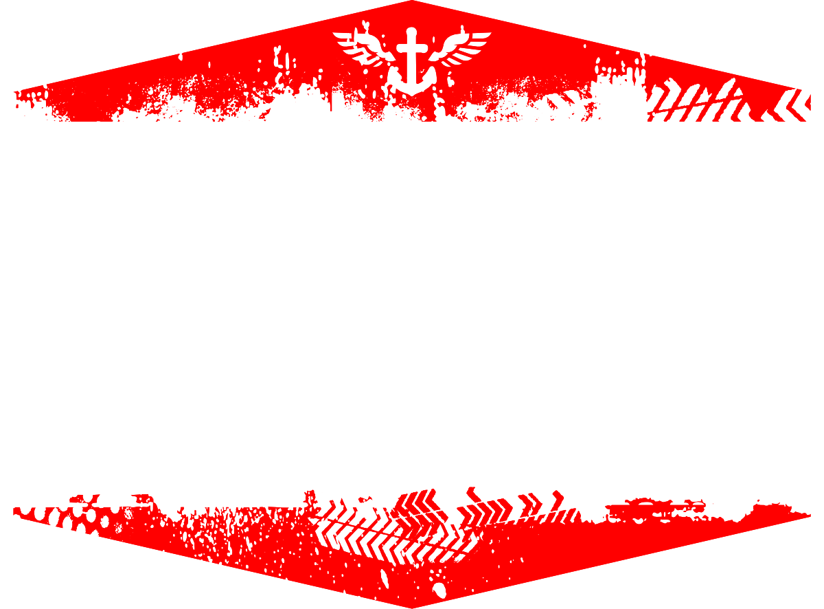 Navy Team Logo